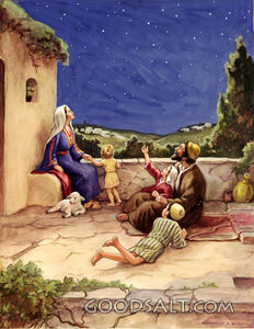 Family Looking at Stars