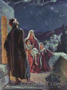 Family on Rooftop Looking at Stars