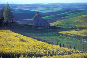 Farm and Rolling Pastures