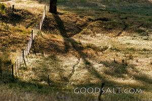 Farm fence in sparkling dew drenched paddock in hilly terrain.