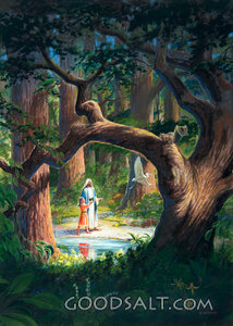 Father and Son Walk in the Woods