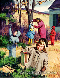 Feeding Winter Birds