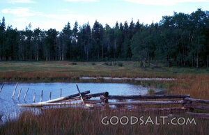 log rail and barbed wire fences cross a meadow pond