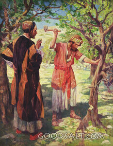 Fig Tree, Timely Warnings