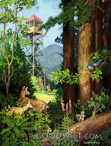 Fire Watch Tower