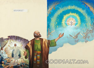 First and Second Coming