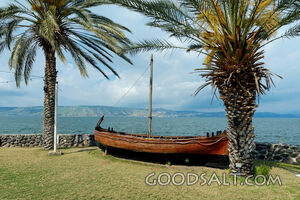 First Century AD Boat Reconstruction at En Gev