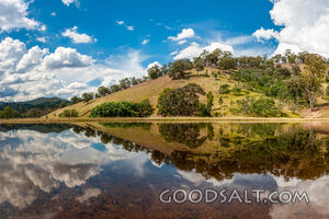 Flooded farmland and bush