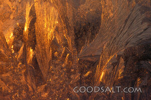 Golden hoar frost on glass