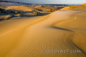 Frost on the Dunes