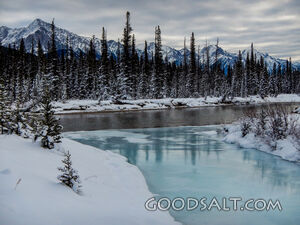 Frozen Stream Off Bow River