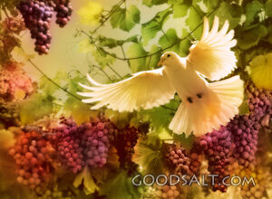 Fruits of the Spirit