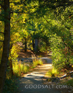 Gateway to Destiny, Lynx Lake Trail