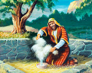 Gideon's Fleece