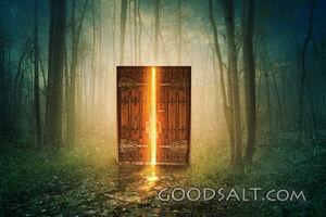 Glowing Door in Forest