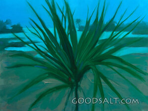 God Made Day Night Land Water and Plants