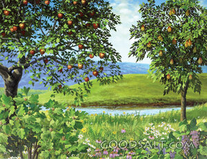 God Made Land and Plants