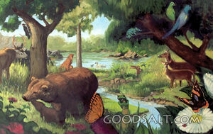 God Made the Animals