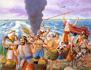 God's Power Is Revealed