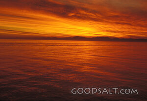 Golden Sunset over the Ocean