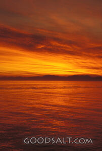 Golden Sunset over the Ocean