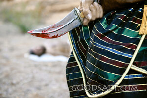 Hand Holding Bloody Knife