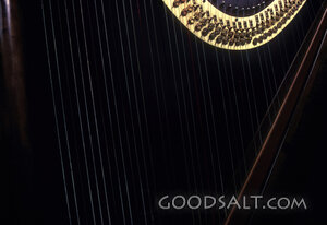 Harp Strings