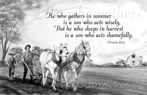 He Who Gathers...