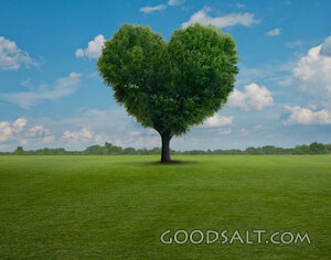 Heart Tree