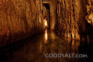 Hezekiah's Tunnel