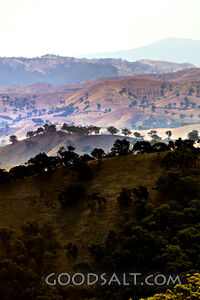 Hills and farmland speckled with forest.