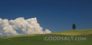 Hillside With Clouds and a Lonely Tree