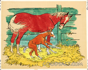 Horse and Colt