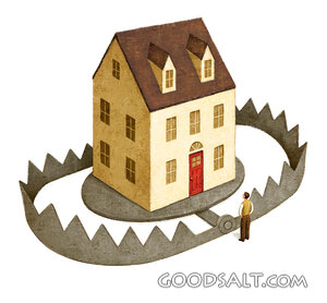 House in a Bear Trap