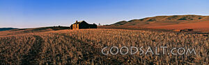 House in Field