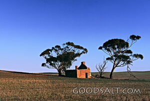house with trees and field
