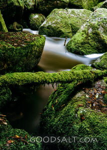 Huge mossy boulders and tree trunks feature beside white-water forest stream.