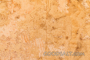 Interior wall inside abandoned farmhouse.