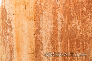 Interior wall inside abandoned farmhouse.