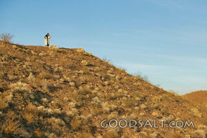 Isrealite Man Atop a Ridge