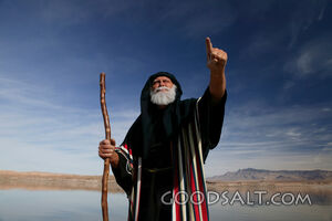 Isrealite Man With Beard and Staff Points