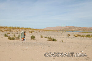 Isrealite Walking in Desert