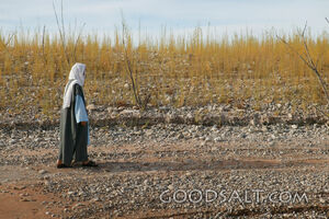 Isrealite Woman Walks in the Desert
