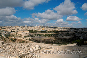 Jerusalem From Mount of Olives