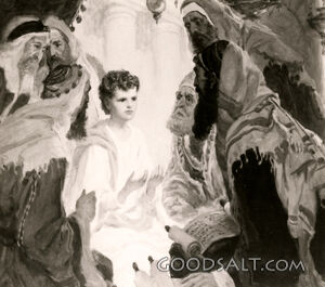 Jesus and the Teachers