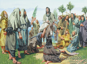 Jesus Answers the Pharisees
