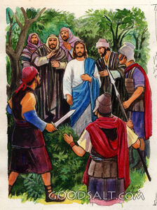 Jesus Being Arrested