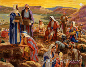 Jesus Feeds the Multitudes