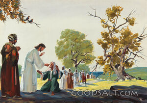  Jesus Gives Speech to a Mute Man