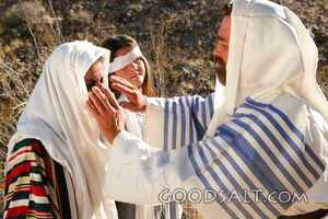Jesus Heals a Blind Woman